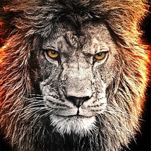 Safari Lion Revenge Icon