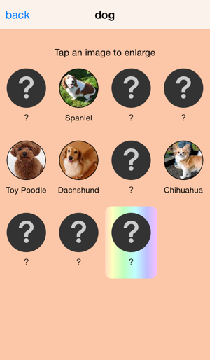 Are you lucky? Animal Spinner(圖4)-速報App