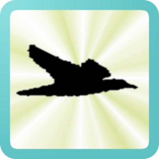 Birds simulation icon