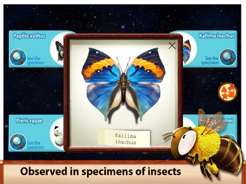 Sky Insect Buddies(Free) screenshot 4