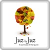 A Summary of the Quran: Juz by Juz