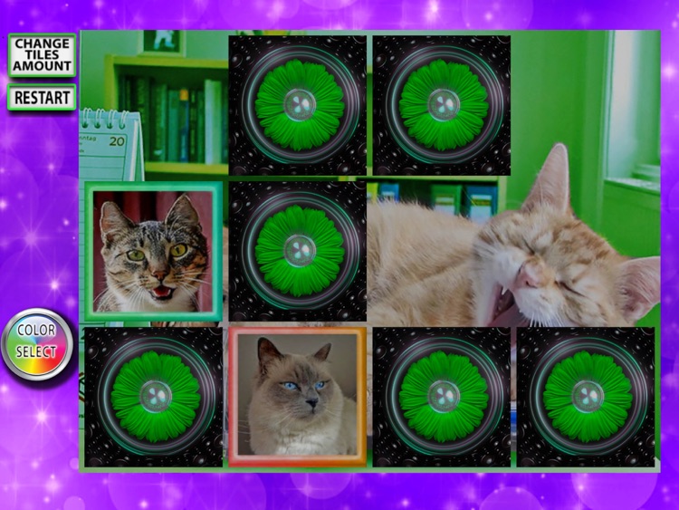 Cats Memory Matching Pairs - Improve concentration in this rainbow game
