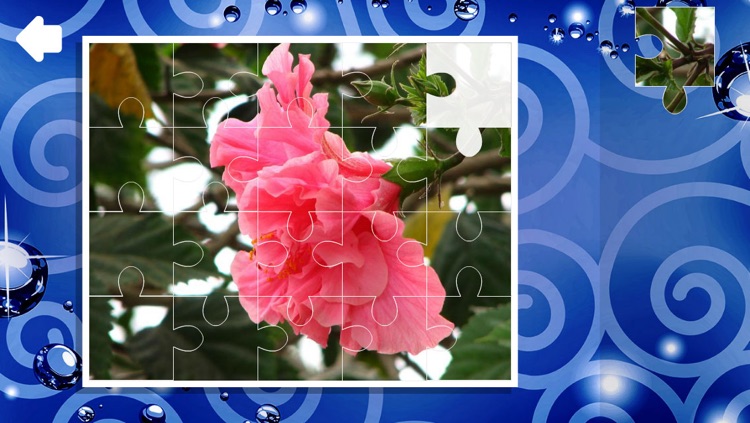 Puzzle Flowers Free