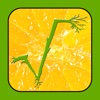 Square Root Natural Foods