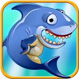 Shark Hunter Racing