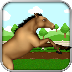 Activities of Horse Run & Jump Free