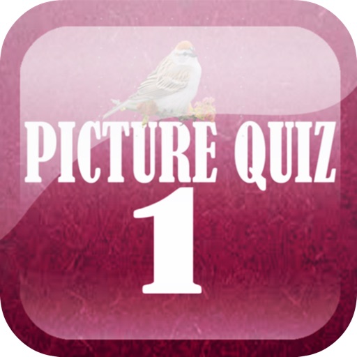 Pizture Quiz 1 icon