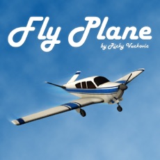 Activities of Fly Plane