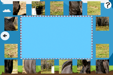 A Puzzle With Horses and Ponies - Free Interactive Game For Kids Learn Logical Thinking with Fun screenshot 4