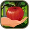 Don't Tap the Bad Apples - Fruit Dash- Free