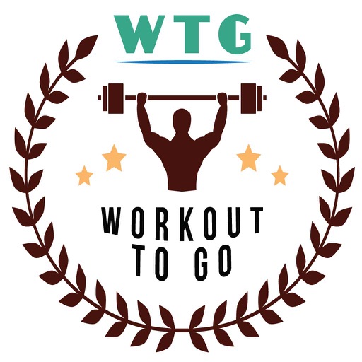 WorkoutToGoAbsi icon