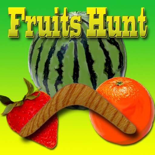 Fruits Hunt Icon