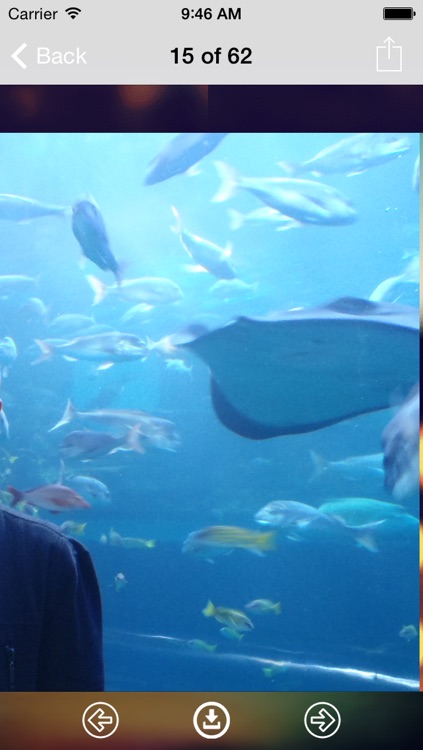 Aquarium Wallpaper: Best HD Wallpapers