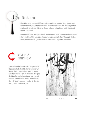 skärmavbild 2
