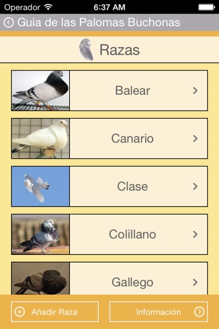 Guía de las Palomas Buchonas screenshot 2