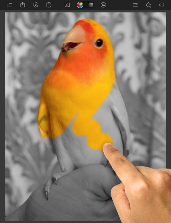 Color Splash for iPad