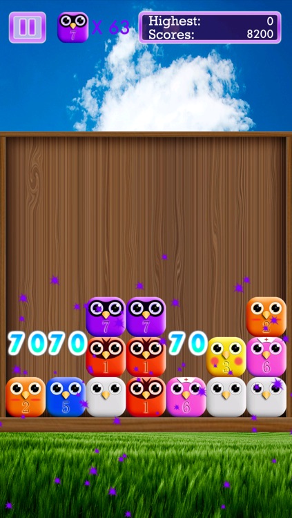 KiwiBird - Strategy Puzzle Game with Cute Birds screenshot-3