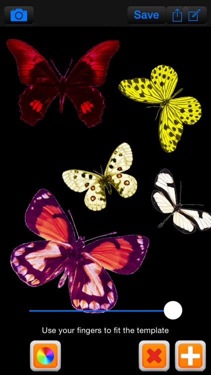 ButterFly - Create Butterfly Photo