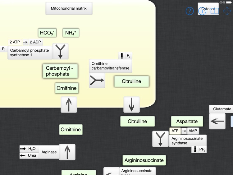 Medical Biochemistry