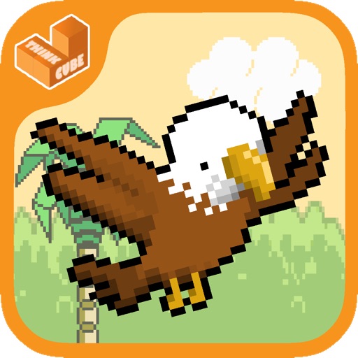 Soaring Eagle iOS App