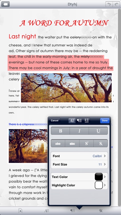 Go Word - for Microsoft Office Word Processor