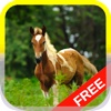 Little Pony Puzzle HD