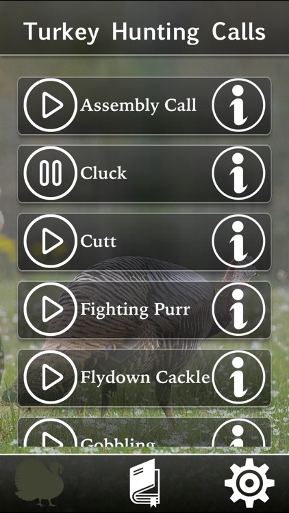 Turkey Hunting Calls!