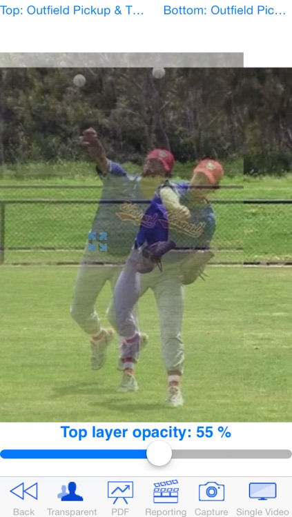 Baseball Coach Plus screenshot-4