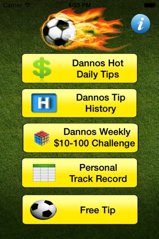 Dannos Daily Football Tips screenshot 2