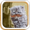 Williamspurrrrg HD: A Game of Cat and Mustache