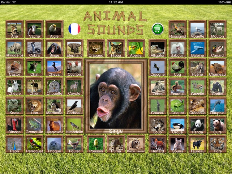 Animal Sounds HD