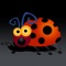 Bugs Crusher -  قاتل الحشرات أشهر لعبة مجاني فى العاب ايفون و العاب ايباد