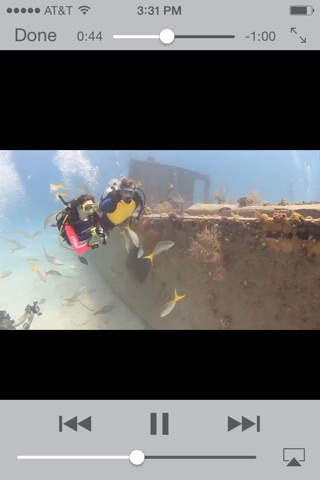 Stuart Cove’s Dive Bahamas screenshot 4