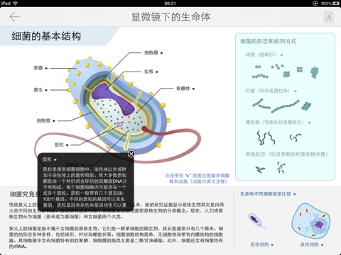 Bacteria Guide screenshot 2