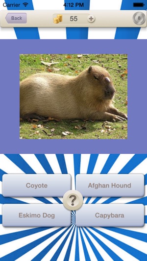 Animals Guess Quiz(圖3)-速報App