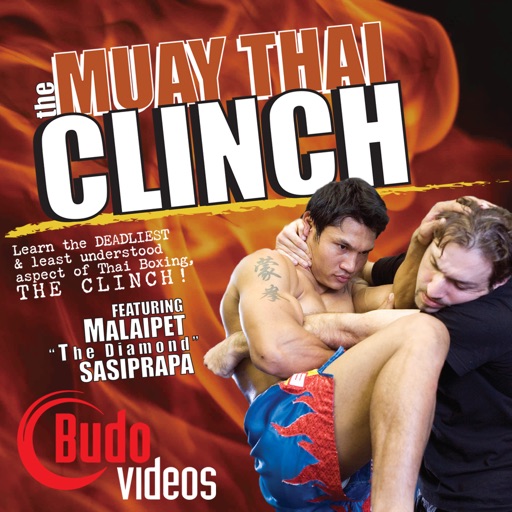 The Muay Thai Clinch icon