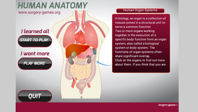 Human Anatomy Game