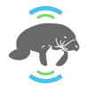 Manatee Alert Manatee Alert