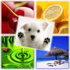 Activities of Pics Quiz (4 pics 1 word)