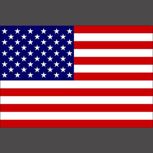United States Puzzle Icon
