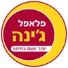 פלאפל ג'ינה