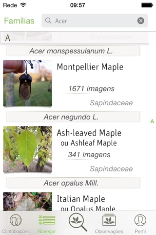 PlantNet screenshot 2