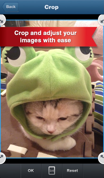 Eraser Pro - Background eraser, Background remover and transparency for iPhone and iPad screenshot-3