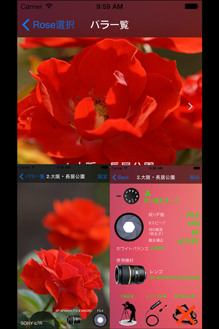 薔薇撮影 notepad screenshot 2