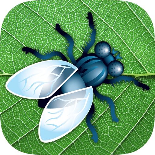 Smash the Mosquito iOS App