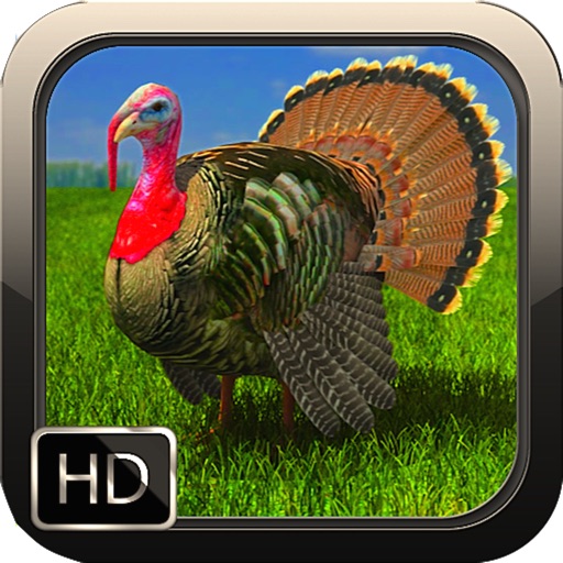 Turkey Hunter HD icon