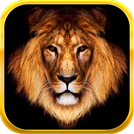 King Slots iOS App