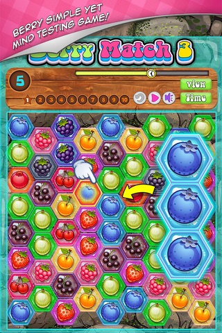Berry Match Three PRO - A fun, yummy fruit switch-ing puzzle game! screenshot 2