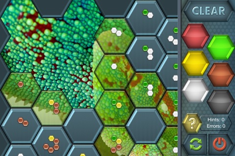 HexLogic - Reptiles screenshot 3
