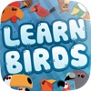 Learn About Birds Preschool Lunchbox Adventure - 3 in 1 Free Educational Game - Teach Preschool Kids and Children Bird Names in a Fun and Interactive Way by ABC BABY